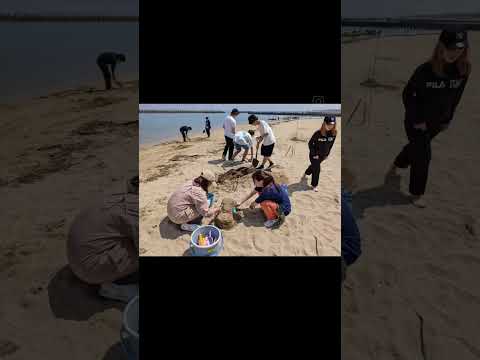 【学校教育専攻】砂浜の造形 活動 #大阪大谷大学 #教育学部 #ゼミ合宿 #砂の造形