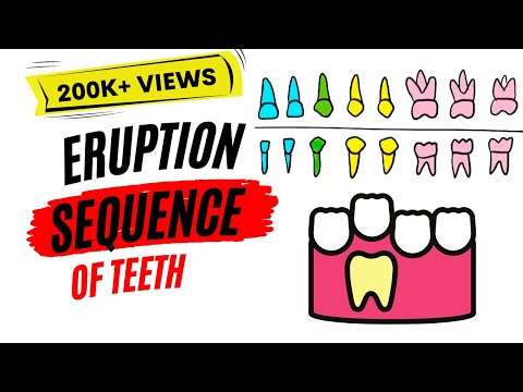 Eruption of teeth