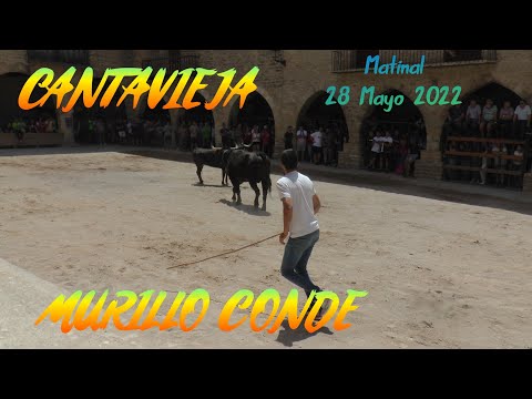2022 05 28 CANTAVIEJA MURILLO CONDE MATINAL