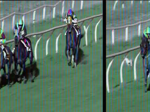 Galoppo 12/03/2019 - 4ª corsa