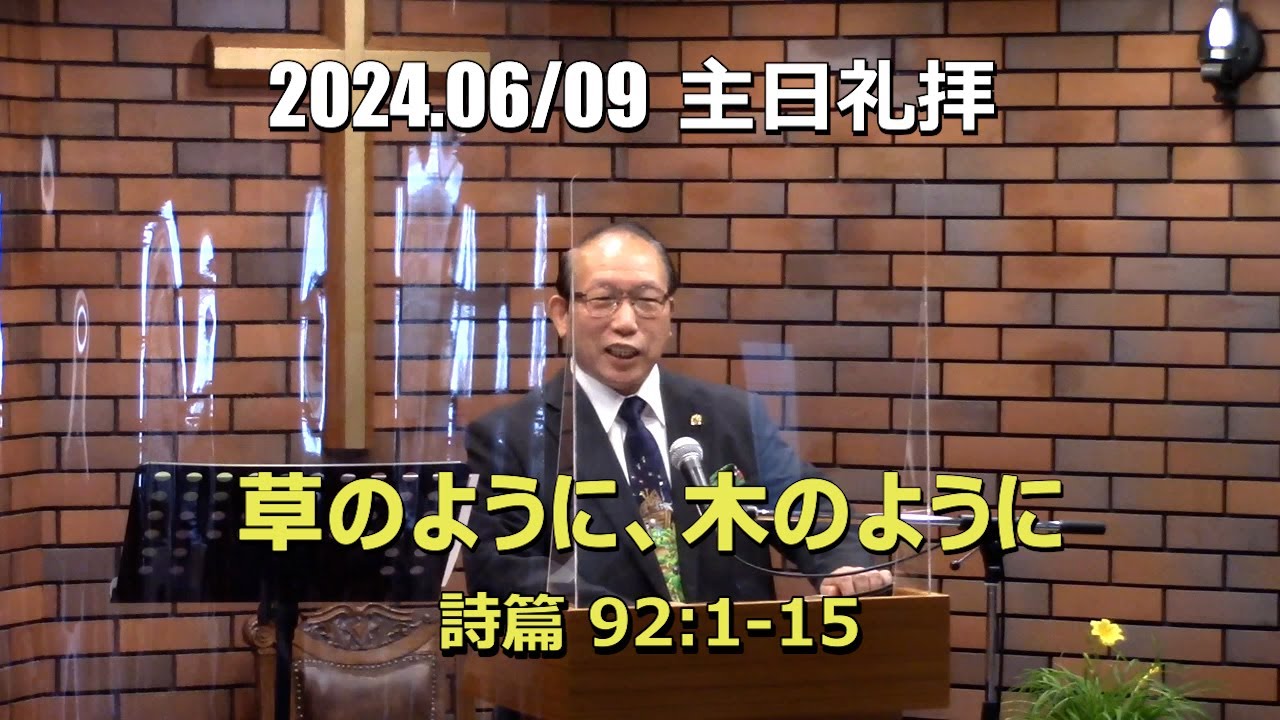 2024..0609 礼拝_草のように、木のように (詩篇 9:1-15)