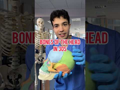 BONES OF THE SKULL IN 30s #medicine #anatomy #medschool