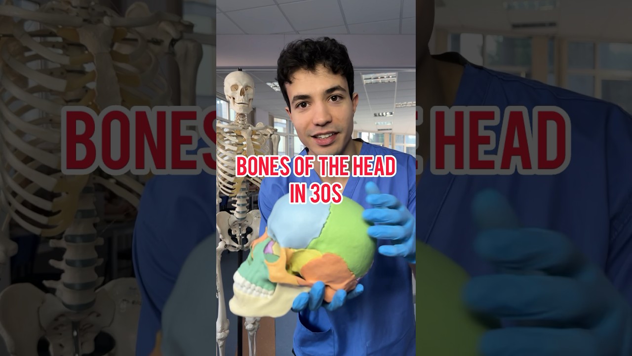 BONES OF THE SKULL IN 30s #medicine #anatomy #medschool