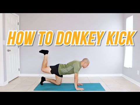HOW TO DONKEY KICK / DONKEY KICKS FOR BEGINNERS