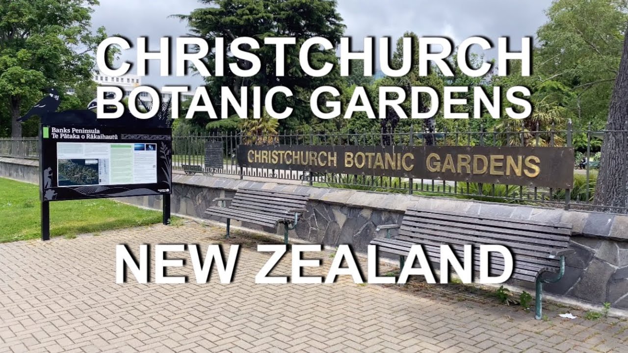 Embark on walking exploration of Botanic Gardens.