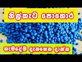 නිල් කැට පොහොර ගැන සම්පූර්ණ විස්තරය අ�