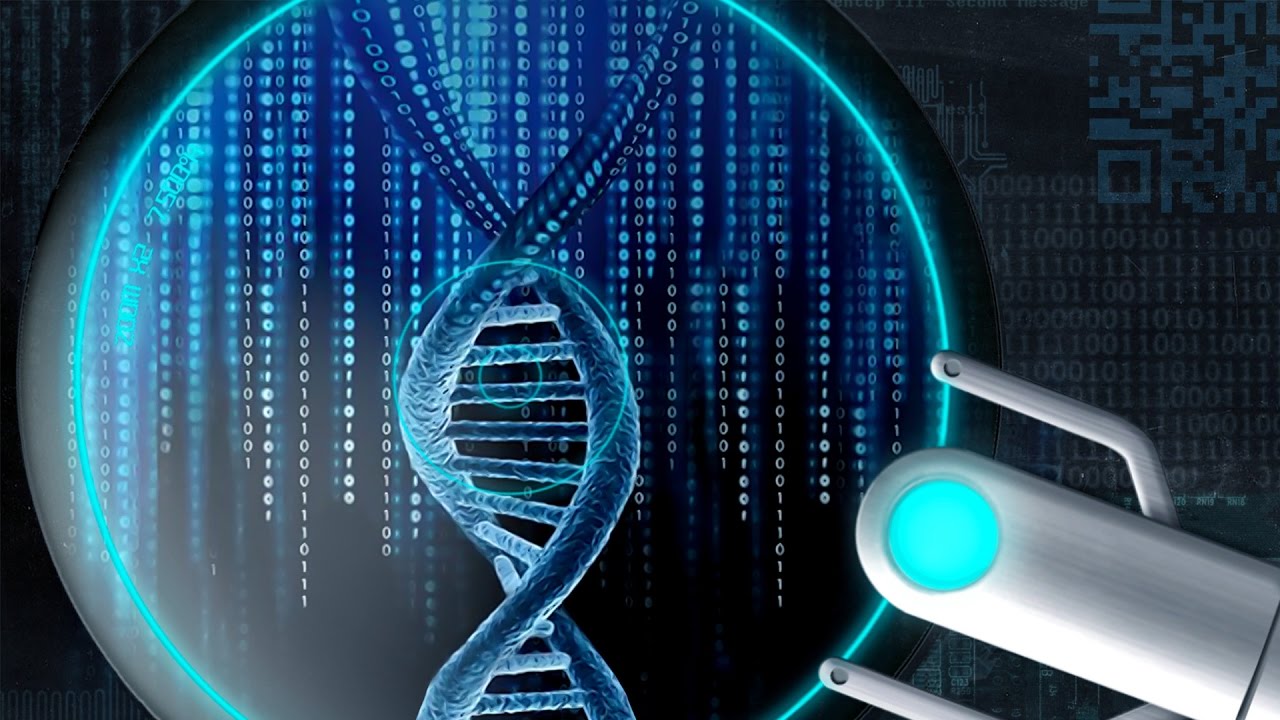 Programming and Life | Nerdologia Tech