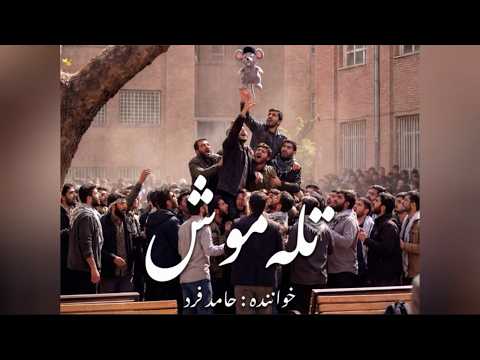 حامد فرد - تله موش - Hamed Fard - TALE MOOSH