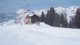 preview picture of video 'Ski-chien 65: husky sur les pistes de ski de Villars'