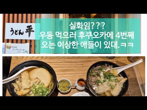 후쿠오카 최고 우동 맛집 공개, 꼭 드세요 #fukuoka  #맛집 대공개 #udon  #우동 타이라 #나만 알고 싶은 맛집
