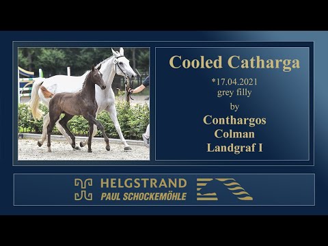6 Cooled Catharga by Conthargos - Colman - Landgraf I