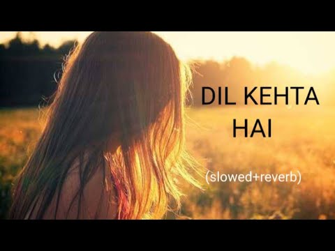 DIL KEHTA HAI । Slowed+Reverb