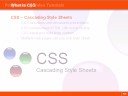 CSS Tutorial