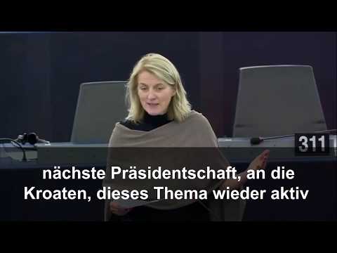 Bringen wir unser Steuerrecht ins 20. Jahrhundert mit BEPS 2.0! #EPlenary.