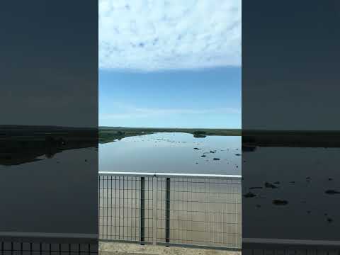 Riacho Victoria #entrerios #argentina #nature #natural #river #trip #travel #motorhome #nomad