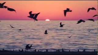 Paul Oakenfold - Southern Sun (collage video)