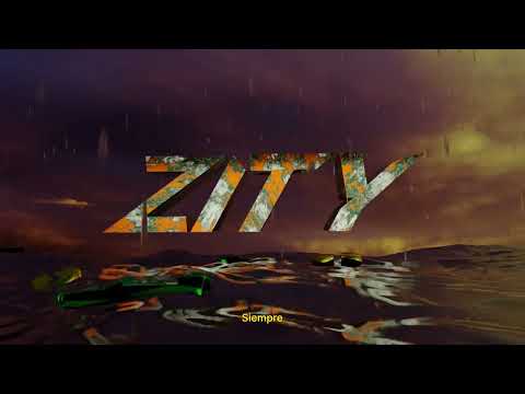 ZITY - ¿QUE VOY HACER? (Visualizer)