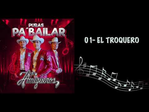 Los Amigueros De La Sierra - El Troquero (En Vivo)