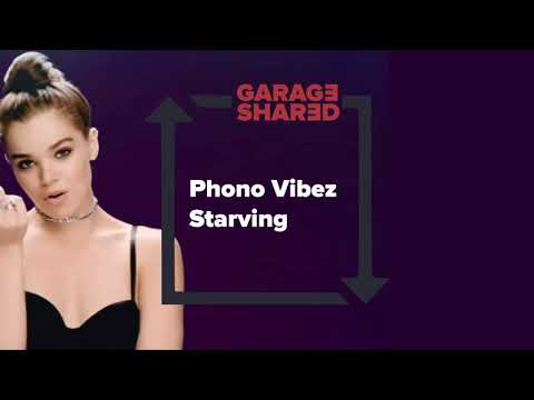 Phono Vibez - Starving