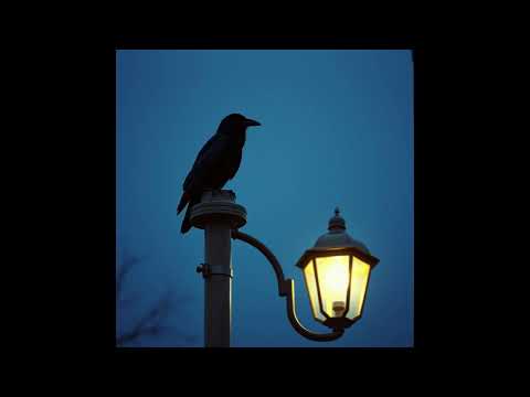 BORN PAID x HOSTILE   LIBERTY CITY (AI Nu-Metalcore/Rap Remix)