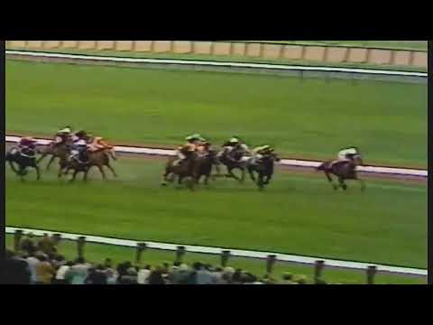1978 MANIKATO _ VRC ASCOT VALE - SIR RUPERT CLARKE