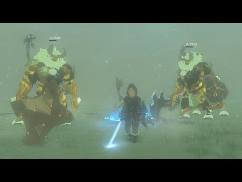 Defeating two Golden Lynels at exactly the same time | Legend of Zelda: BotW