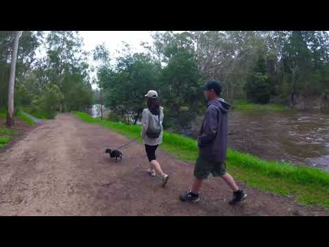 warrandyte_drive_130124