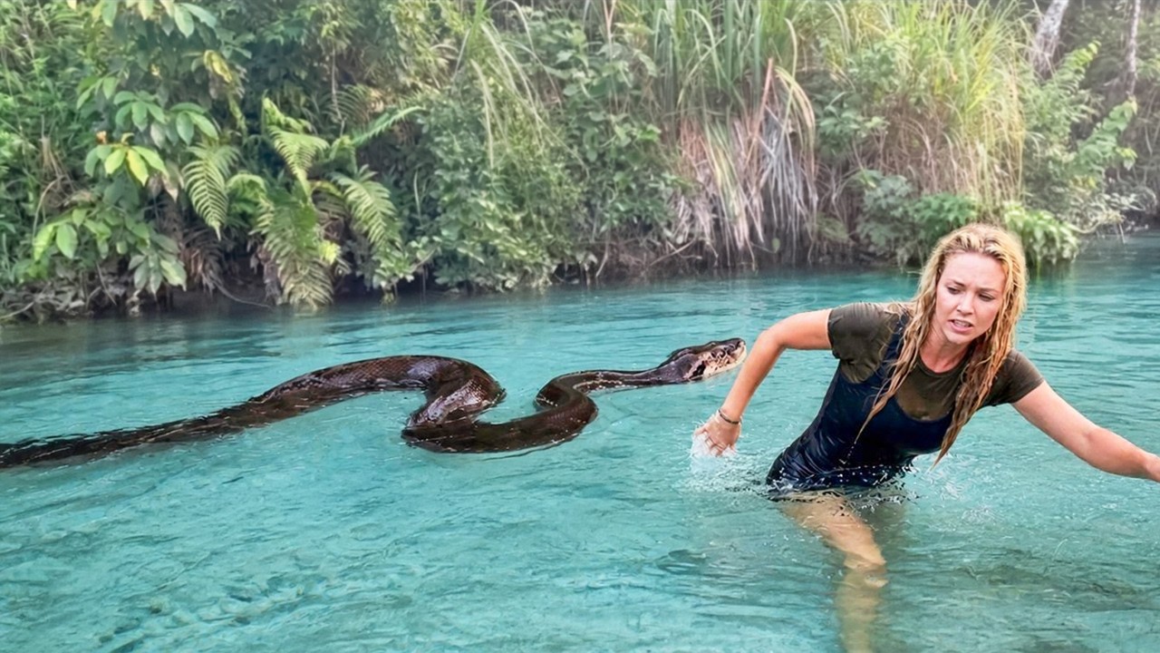 Wenn wilde Tiere viel zu nahe kommen