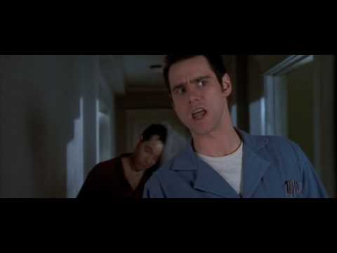 The Cable Guy - Lot of Cats.