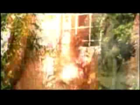 Guru Josh vs Pink Infinity So What ( Video Remix)