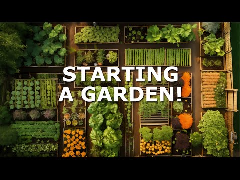 Gardening Methods: A Comprehensive Overview | Vibepedia