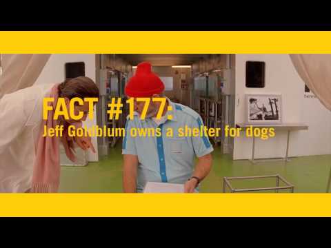 Yeah! Trailer - The Life Aquatic with Steve Zissou