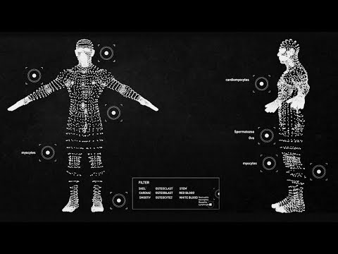 Unseen Ideas #2: Finding a new language for human disease - Human Cell Atlas