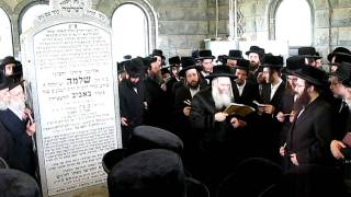 הרב מבובובר אומר קדיש על קבר אביו