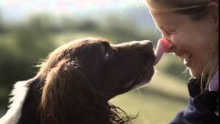 Secret Life of Dogs: promo