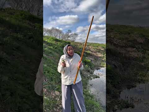 Denizden yılan cıktı #shorts #shortvideo #fyp