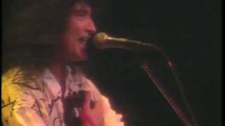 MSG [ GIMME YOUR LOVE ] UNPLUGGED