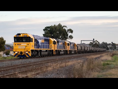 The NSW 82 class in Victoria - 5MC5 PN grain at Albion 14/04/2022