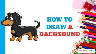 How to Draw a Dachshund in a Few Easy Steps: Drawing Tutorial for Beginner Artists