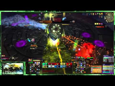 [HD] meridian vs 10 man Normal Durumu the Forgotten - BM Hunter PoV