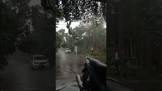 Download lagu Detik detik angin' kencang menghantam wilayah Sidoarjo 12-01-23 jam 15,45 mp3 Download lagu Detik detik angin' kencang menghantam wilayah Sidoarjo 12-01-23 jam 15,45 mp3