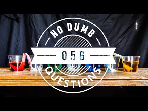 No Dumb Questions 056 - What Going Bald Feels Like