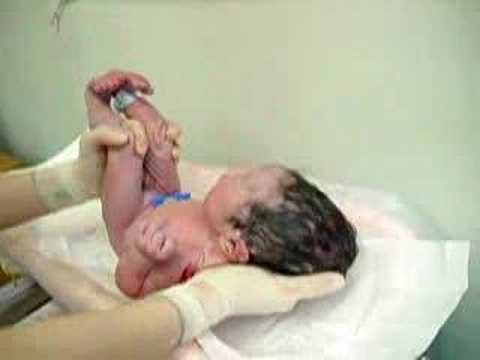 Ray's birth (part 2)