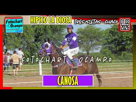 CANOSA Tres Isletas CH 01 03 2026