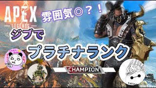 雰囲気◎？！エンジョイしながらジブラルタルでプラチナランクチャンピオン取ってみた！