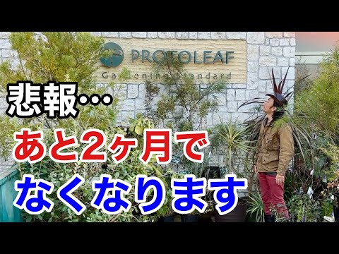 園芸 テネリフェ島バグロス