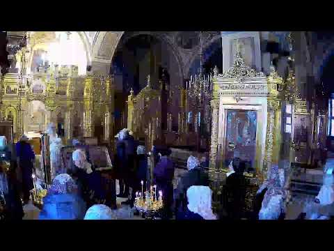 25.1.22 Вт. Часы и Божественная литургия. Мц. Татианы. Свт. Саввы Сербского. Прп. Мартиниана Белоез.