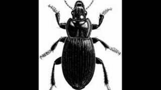 Ella ja Aleksi - Mc koppakuoriainen