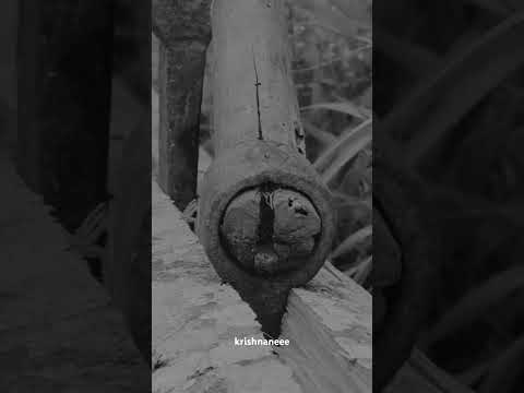 Cinematic Videography #subscribe #krishnaprasad