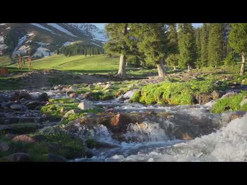 Flowing Stream White Noise – Deep Focus, Productivity, Study With Me, and Sleep Aid | 10 Hours